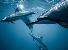 2026世界杯投注-休息时间太短!上季分区决赛四支球队揭幕战1胜3负